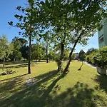 Pinewood *
