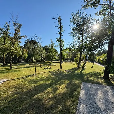 Pinewood Апартаменти Бібіоне